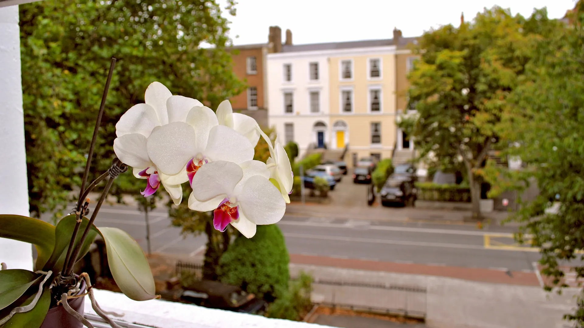Hotel Waterloo Lodge Dublin